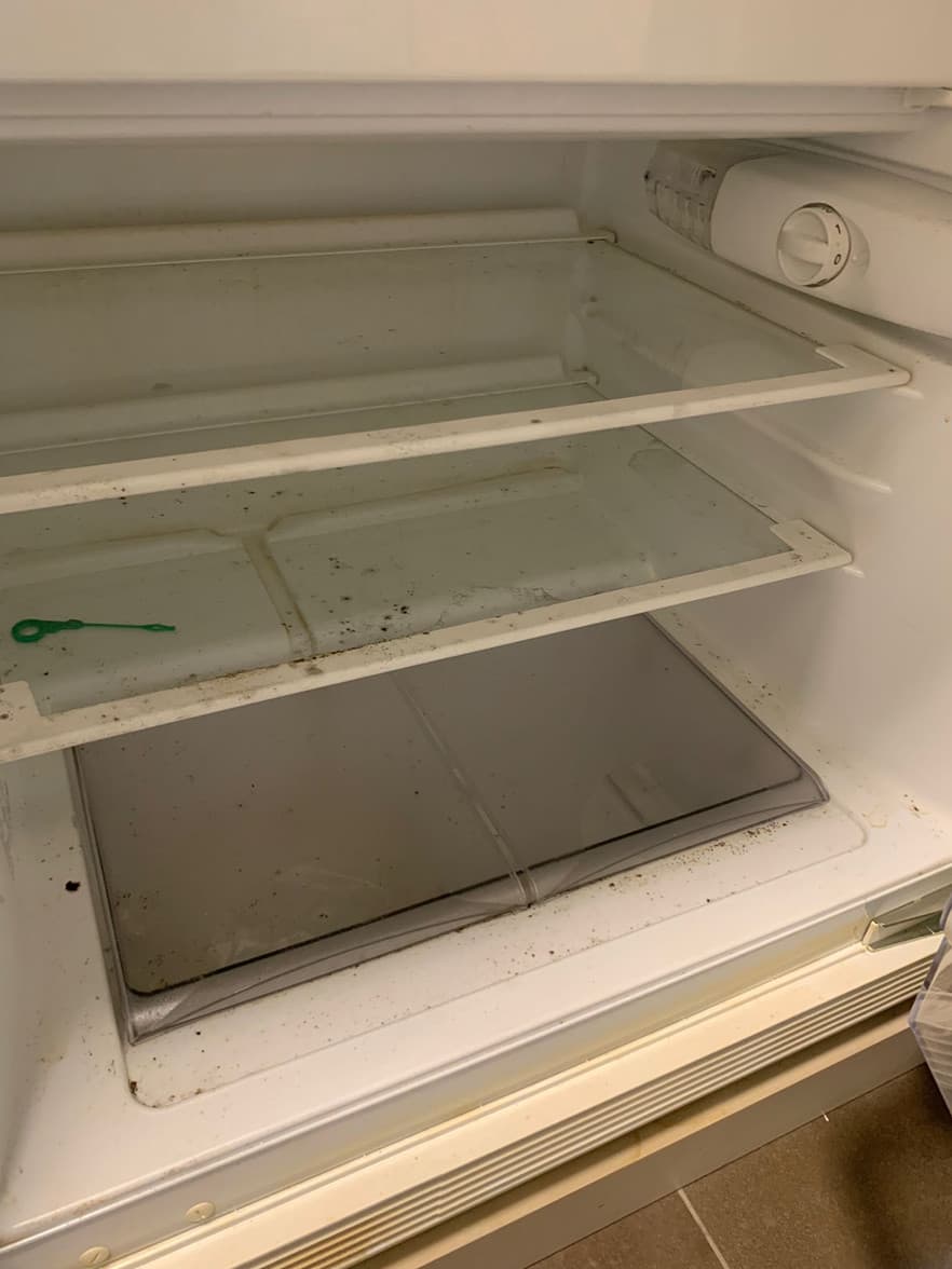 Reinigungsprojekt – Bild 4