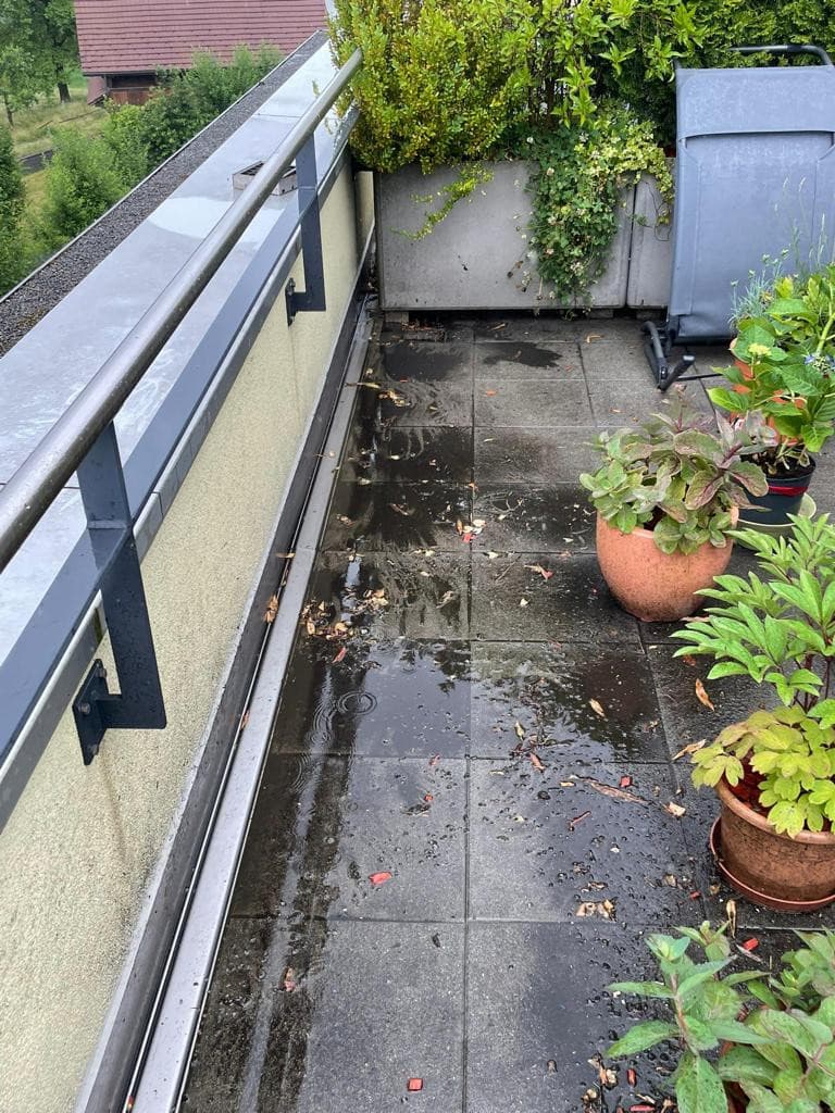 Reinigungsprojekt – Bild 17